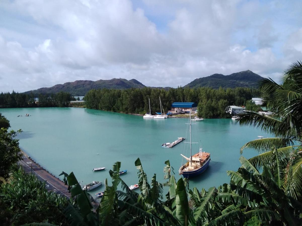Belle Rose Vue Baie Sainte Anne